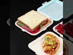 Sandwich Container for Lunch Box